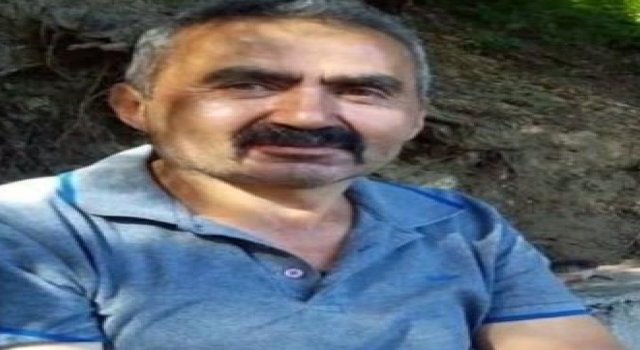 Üzerine ağaç devrilen kesim işçisi öldü