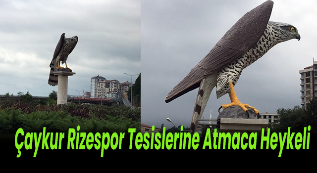 Çaykur Rizespor Tesislerine Atmaca Heykeli