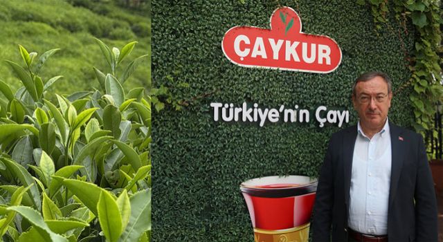 ÇAYKUR'dan Yaş Çay Alımında Tarihi Rekor!