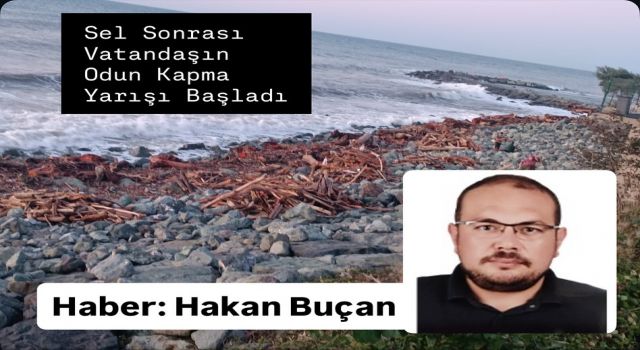 Fırtınanın etkisiyle Karadeniz’in sahile getirdiği dev ağaçlar