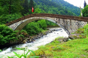 Yer: Rize! Çift başlı balıklar görenleri şaşkına çeviriyor! İşte nedeni...