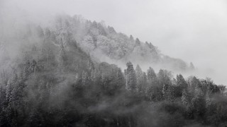 Rize'de kar yükseklerde başladı, sahile geliyor