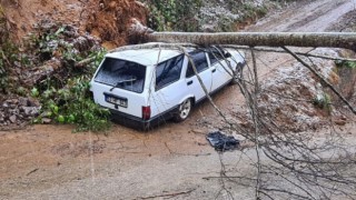 Heyelanda devrilen ağaç otomobilin üzerine düştü