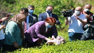 Akşener, Rize'de köylerine taş ocağı açılmasını istemeyen kadınlarla görüştü