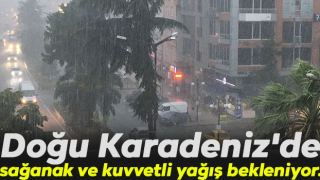 Doğu Karadeniz'de, sağanak ve kuvvetli yağış bekleniyor.