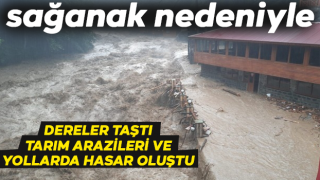 Rize'de sağanak nedeniyle dereler taştı, tarım arazileri ve yollarda hasar oluştu