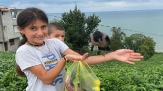 Rizeli küçük kız 'Şakir' ismini verdiği kargasından bir an olsun ayrılmıyor