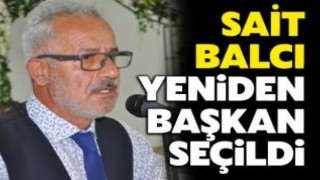 Sait Balcı Yeniden Başkan seçildi