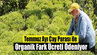 Temmuz Ayı Çay Parası ile Organik Fark Ücreti Ödeniyor