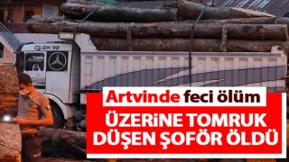 Üzerine tomruk düşen kamyon şoförü öldü