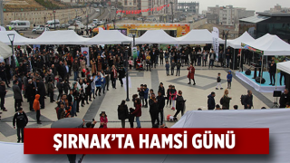 Şırnak'ta 'Hamsi Günü' Etkinliğinde 1,5 Ton Hamsi İkram Edildi