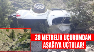 Artvin'de feci kaza: Kamyonet şarampole yuvarlandı