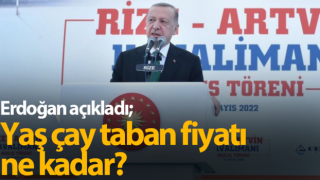 Yaş çay taban fiyatı ne kadar? Erdoğan açıkladı