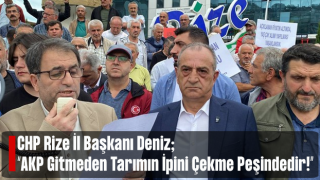 Deniz: AKP Hükümeti Gider Ayak Çay Tarımının İpini Çekmeye Çalışmaktadır