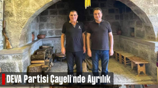 DEVA Partisi Çayeli İlçe Başkanı Arıcı, İstifa Etti