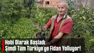 Emekli Olduktan Sonra Hobi Olarak Başladığı Fidan Yetiştiriciliği Mesleği Oldu