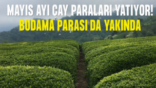 Mayıs Ayı Çay Paraları Ödeniyor