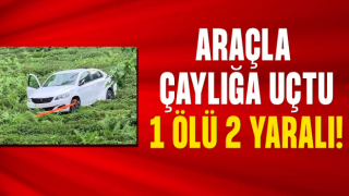 Otomobil uçurumdan çay tarlasına düştü: 1 ölü, 2 yaralı