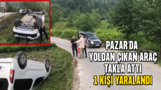 Rize'de kamyonetin çay bahçesine devrildiği kazada 1 kişi yaralandı