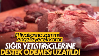 Sığır yetiştiricilerine destek süresi uzatıldı