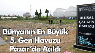 Türk çayının geleceğini koruyacak "Ulusal Çay Gen Havuzu" açıldı