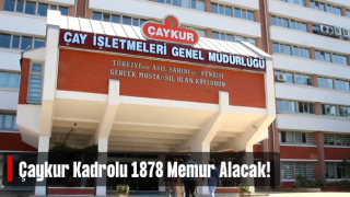 Çaykur kadrolu memurlar alacak