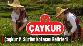 ÇAYKUR'da ikinci sürgün kotası belirlendi