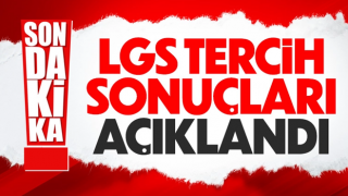 LGS yerleştirme sonuçları açıklandı