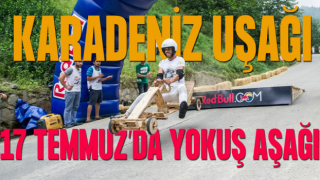 Red Bull Formulaz 17 Temmuz'da düzenlenecek