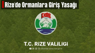 Rize'de ormanlara giriş-çıkış ve ateşli piknik yasaklandı