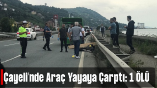 Rize'de Otomobilin Çarptığı Yaya Hayatını Kaybetti