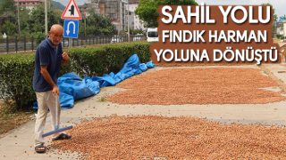 Sahil Yolu fındıkçılar için harman yeri oldu