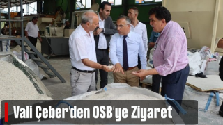 Vali Çeber'den Rize OSB’de İnceleme ve Ziyaret