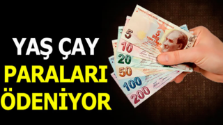 ÇAYKUR’un Çay Parası ile Organik Farkları Ödeme Günü Belli Oldu