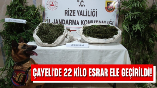 Rize'de 22 kilogram esrar ele geçirildi, 3 şüpheli yakalandı