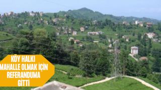 Rize'de Köy Halkı Mahalle Olmak İçin Referanduma Gitti