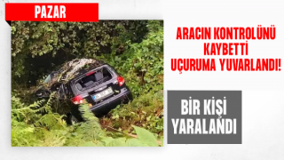 Rize'de uçuruma yuvarlanan otomobilin sürücüsü yaralandı