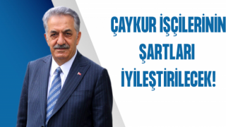 Yazıcı: ÇAYKUR Mevsimlik İşçilerinin Çalışma Şartları İyileştirilecek