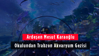 Ardeşen Mesut Karaoğlu Okulundan Trabzon Akvaryum Gezisi