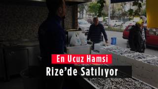 En Ucuz Hamsi Rize'de Satılıyor