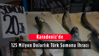 Karadeniz'de 125 Milyon Dolarlık Türk Somonu İhracı