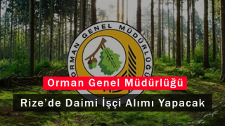 Orman Genel Müdürlüğü Rize'de Daimi İşçi Alımı Yapacak