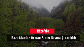 Rize’de Bazı Alanlar Orman Sınırı Dışına Çıkartıldı