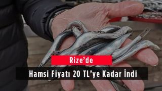 Rize'de Hamsi Fiyatı 20 Tl’ye Kadar İndi