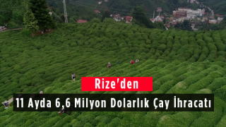 Rize'den 11 Ayda 6,6 Milyon Dolarlık Çay İhracatı