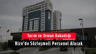 Tarım ve Orman Bakanlığı Rize’de Sözleşmeli Personel Alacak