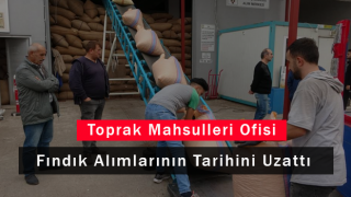 Toprak Mahsulleri Ofisi Fındık Alımlarının Tarihini Uzattı