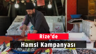 Rize’de Hamsi Kampanyası