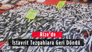 Rize’de İstavrit Tezgahlara Geri Döndü