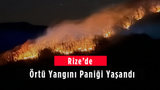 Rize'de Örtü Yangını Paniği Yaşandı